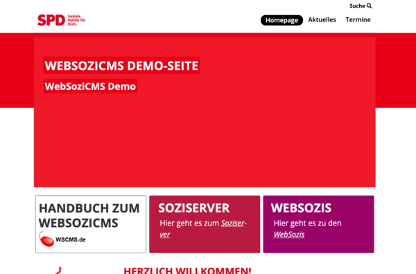 Screenshot des Layoutes websozis2024